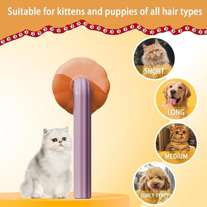 Pumpkin Pet Comb